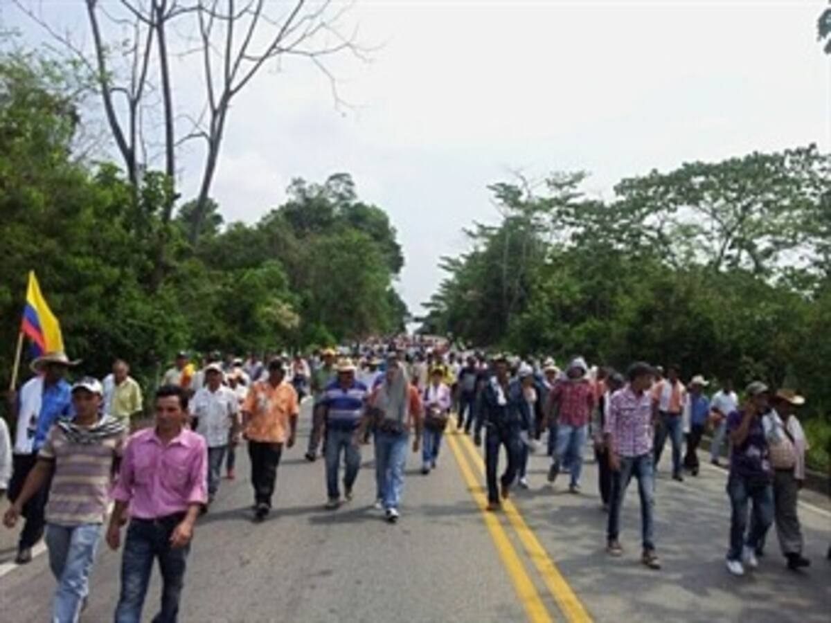 Congreso pide al Gobierno destinar a cafeteros un punto del 4 X 1.000 para aliviar crisis