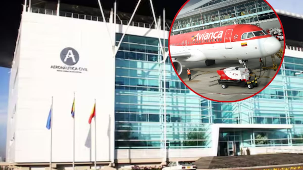 En dos días estaría lista la actualización de aviones Airbus: director de Operaciones de Navegación