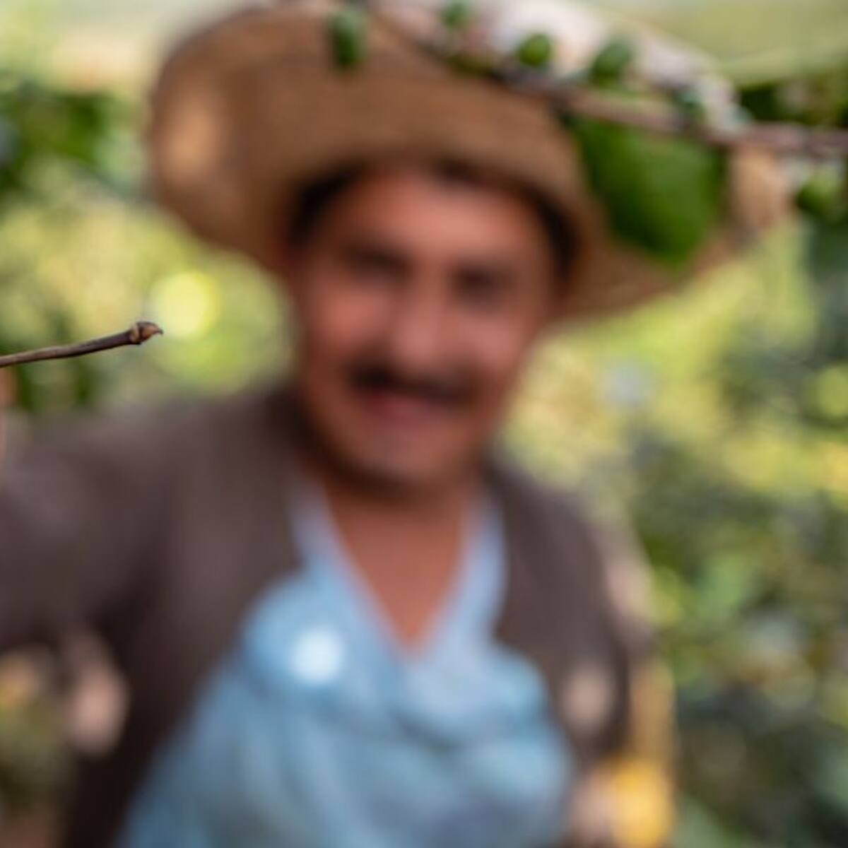 Cafeteros del Valle piden un plan para enfrentar la pandemia
