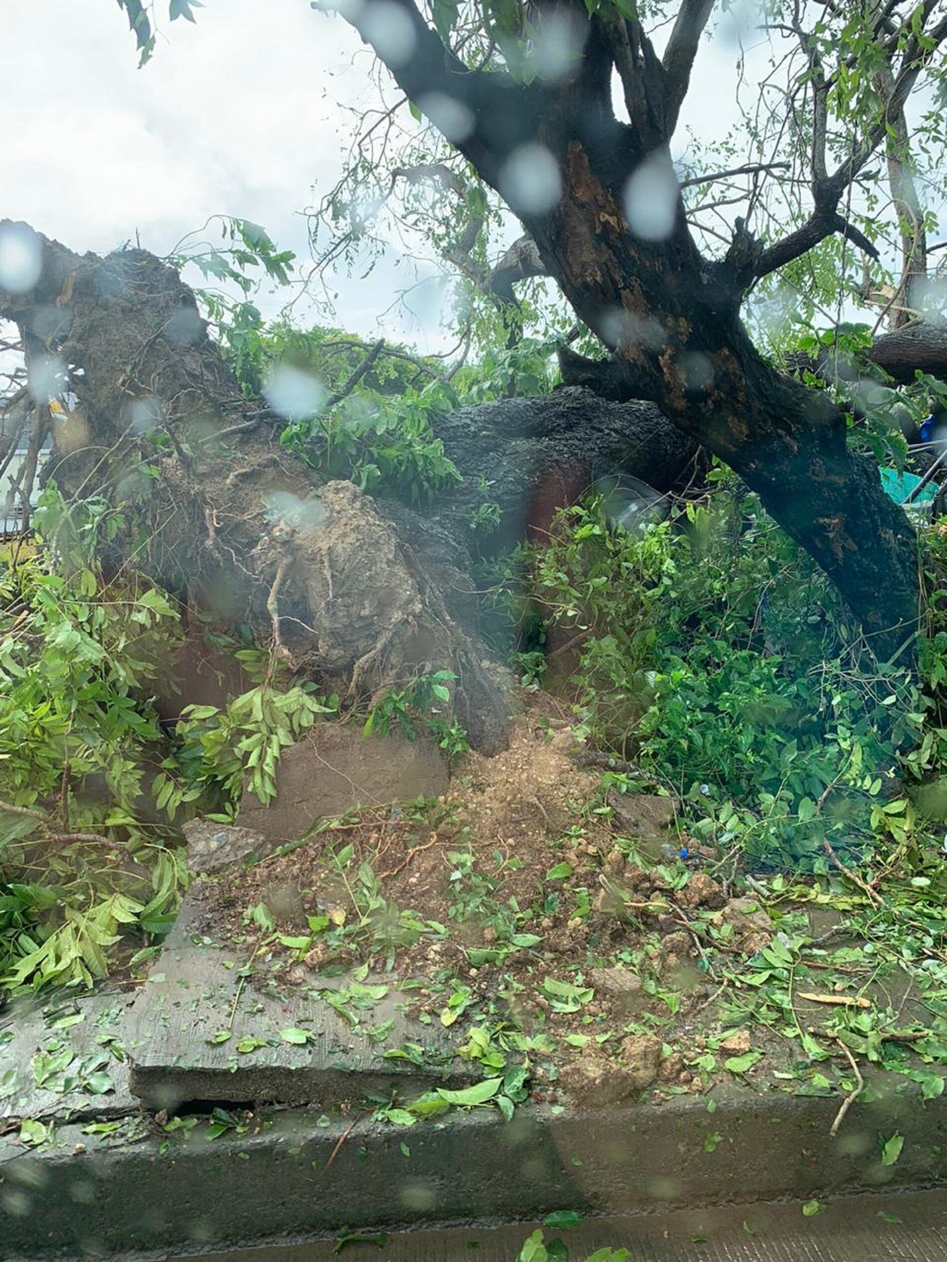 Daños del huracán Julia. Cortesía: Procuraduría.