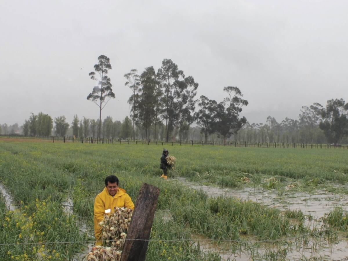 Ola invernal genera grandes afectaciones en Boyacá