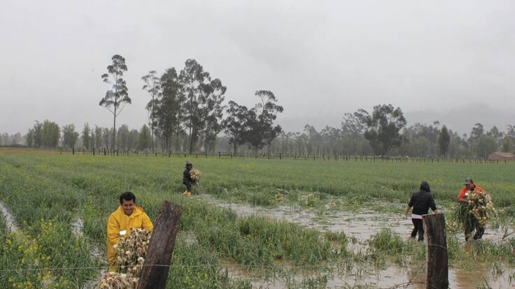 Ola invernal genera grandes afectaciones en Boyacá