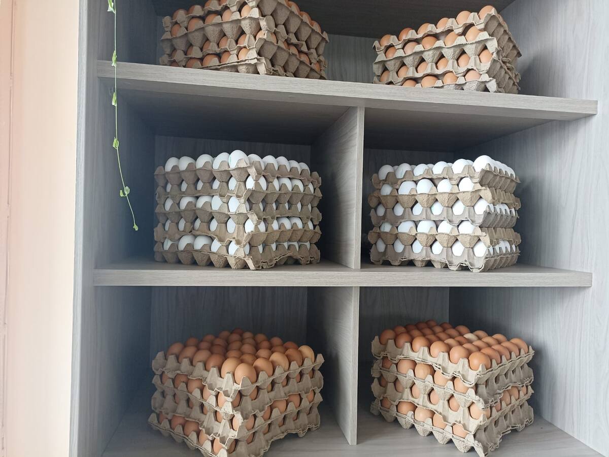 Quindío es el sexto departamento productor avícola de Colombia: Fenavi