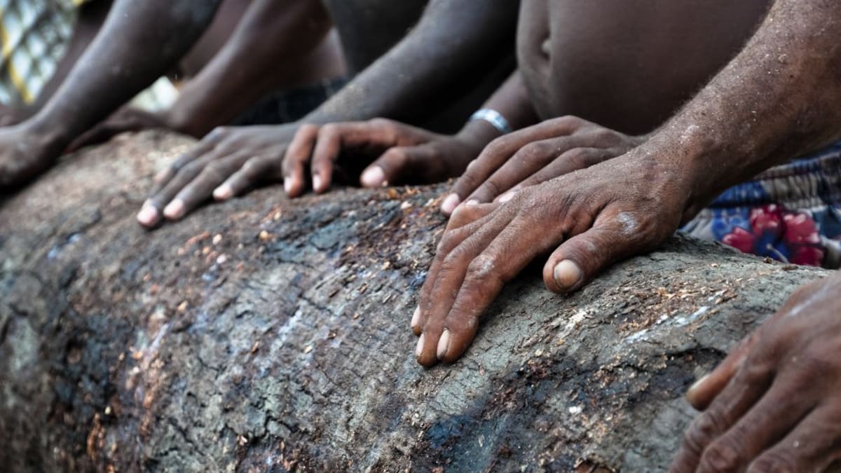 El Pacífico de Nariño y sus necesidades