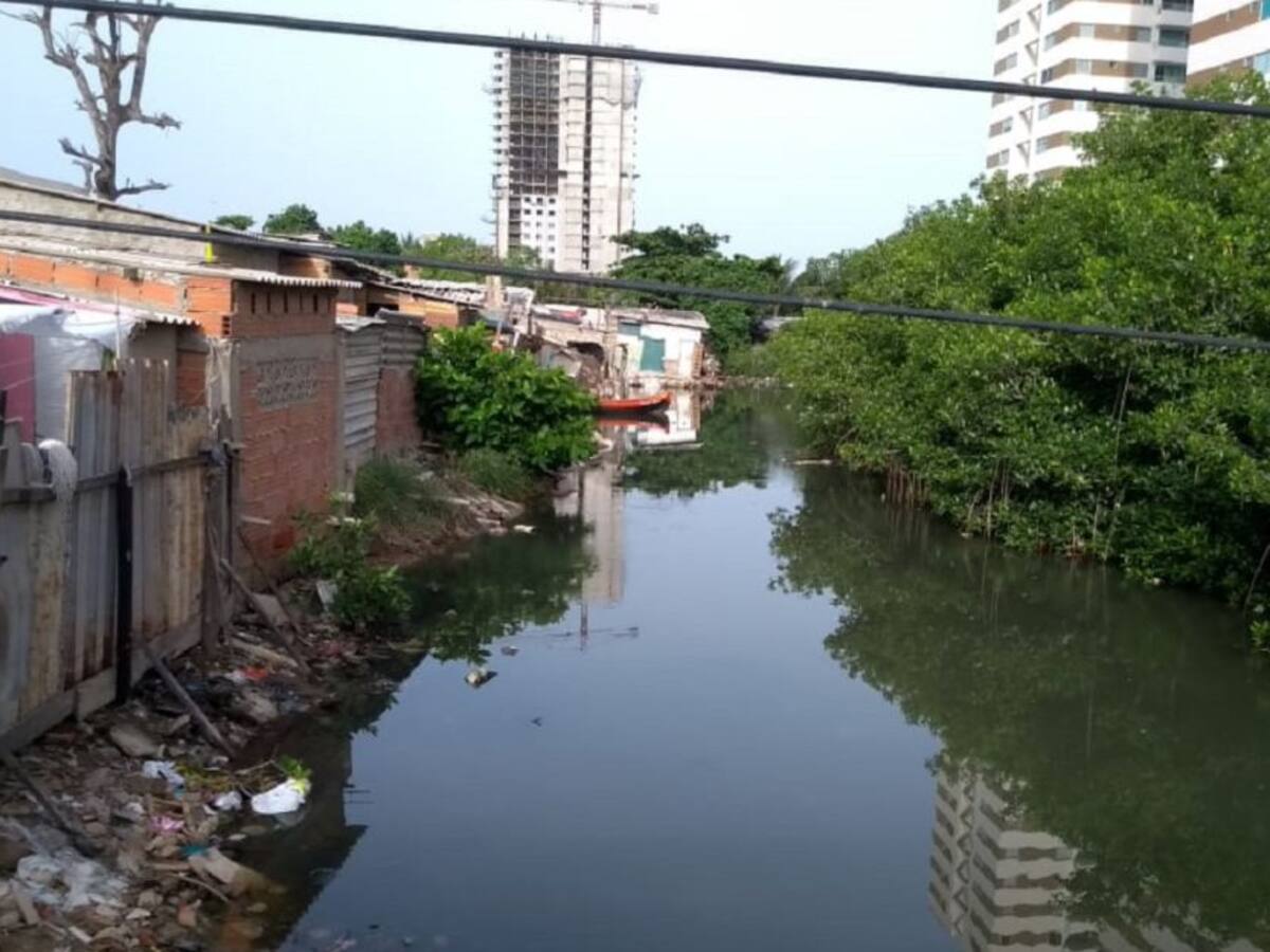 Caño Juan Angola de Cartagena: En cuidados intensivos