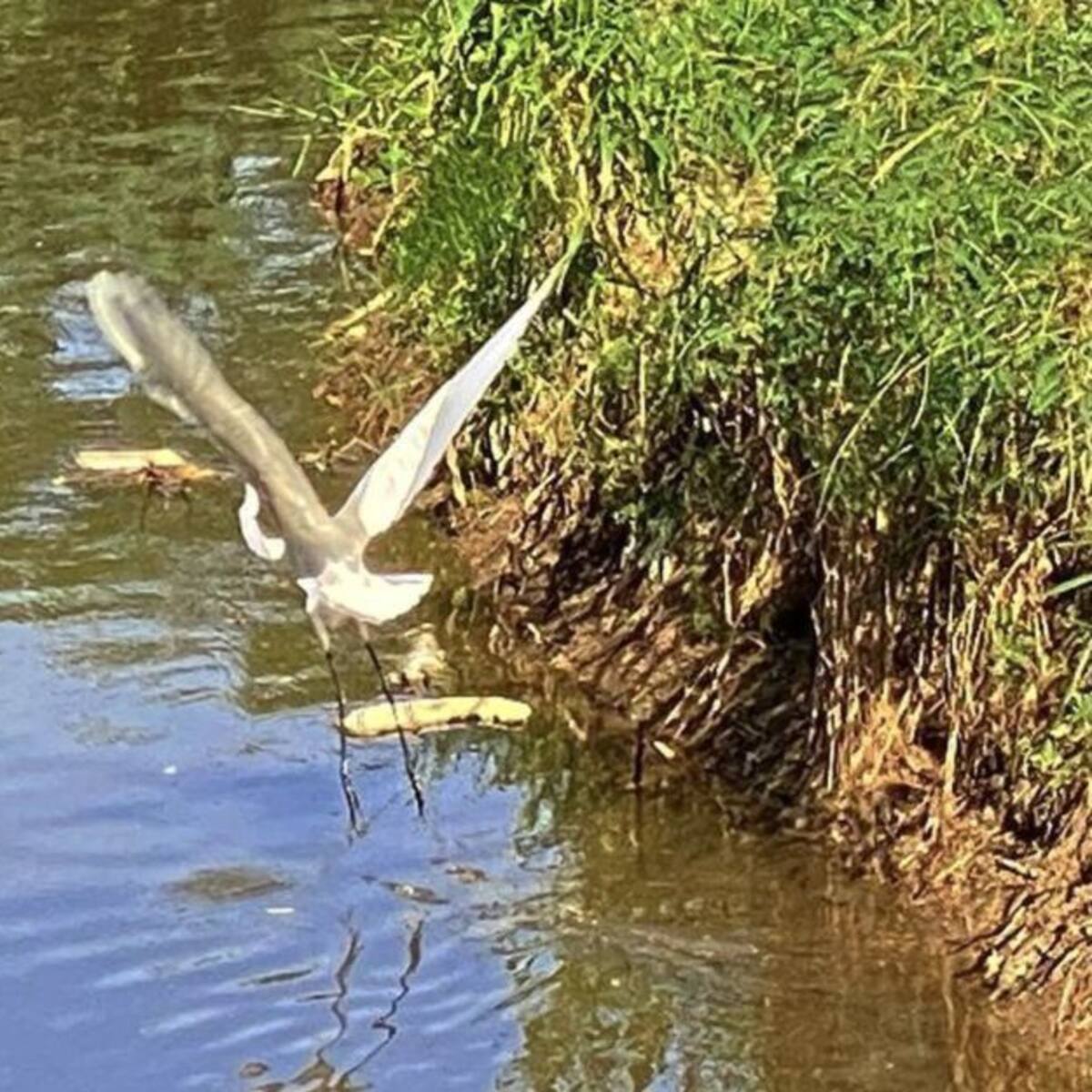 Las propuestas juveniles para preservar la riqueza ambiental del Magdalena