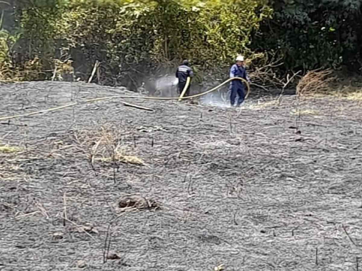Cerca de dos hectáreas se afectaron con un incendio forestal en Victoria