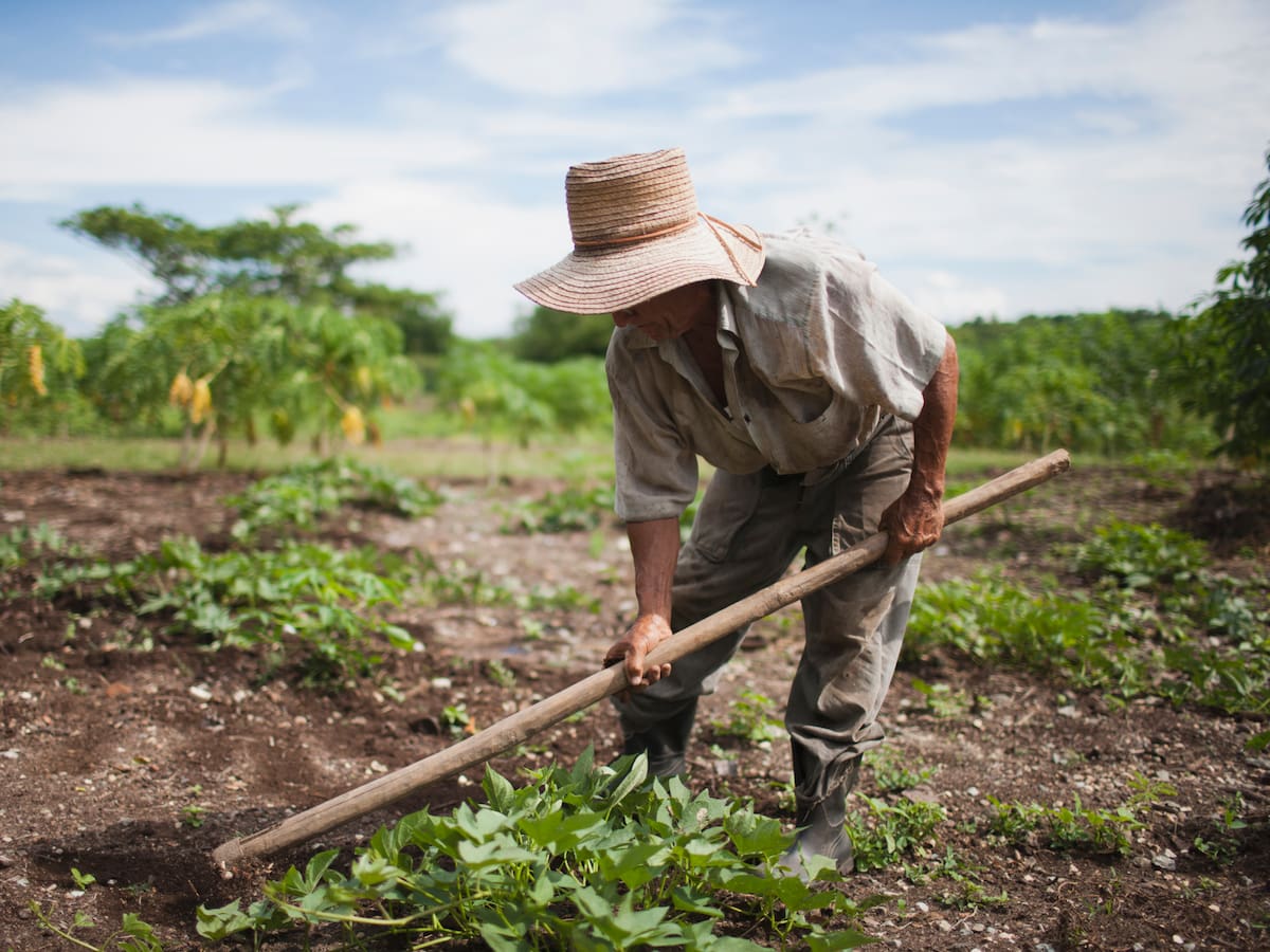 Gobierno Nacional declara a Andes y Ciudad Bolívar como Área de Protección de Alimentos
