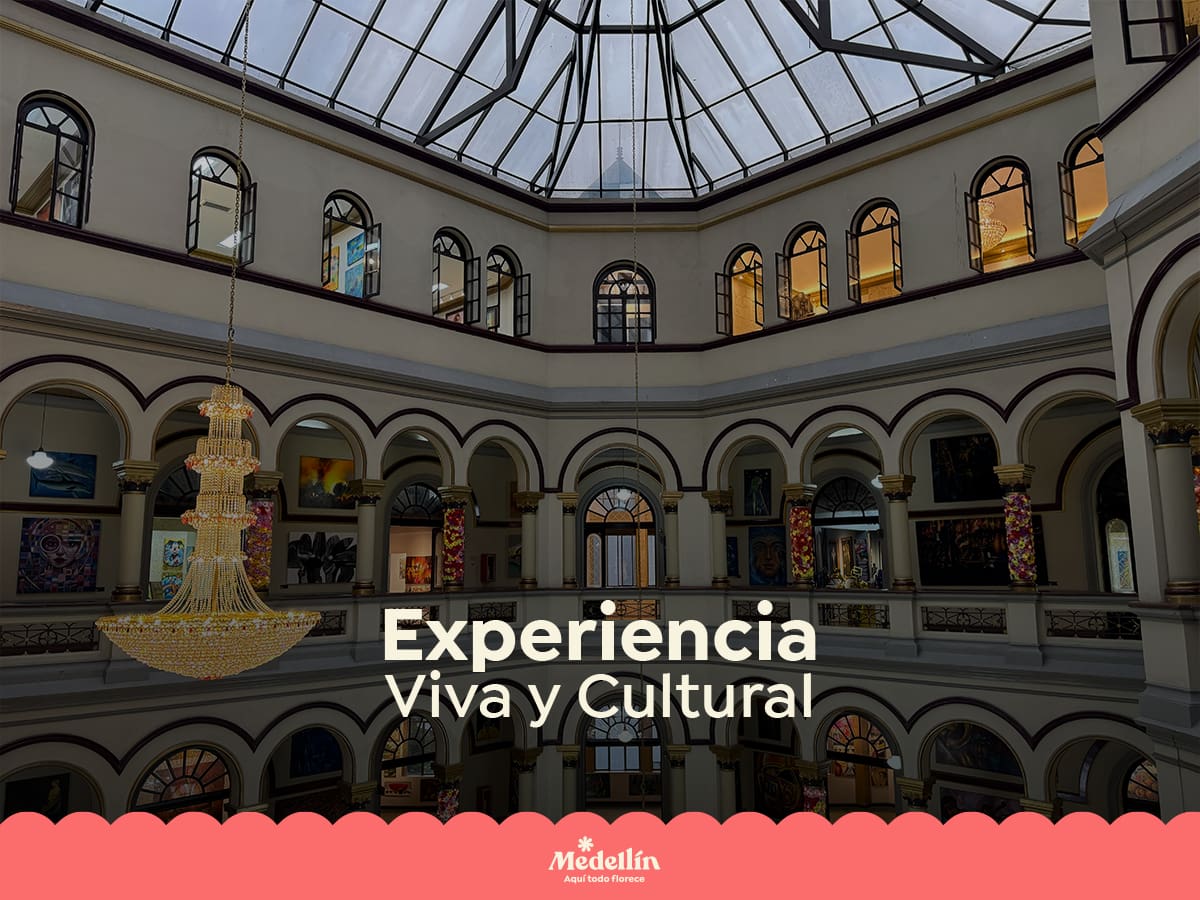 ‘Medellín, aquí todo florece’: el auge del turismo internacional redefine la ciudad