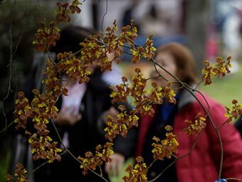 Foto: Colprensa / Mario Franco.