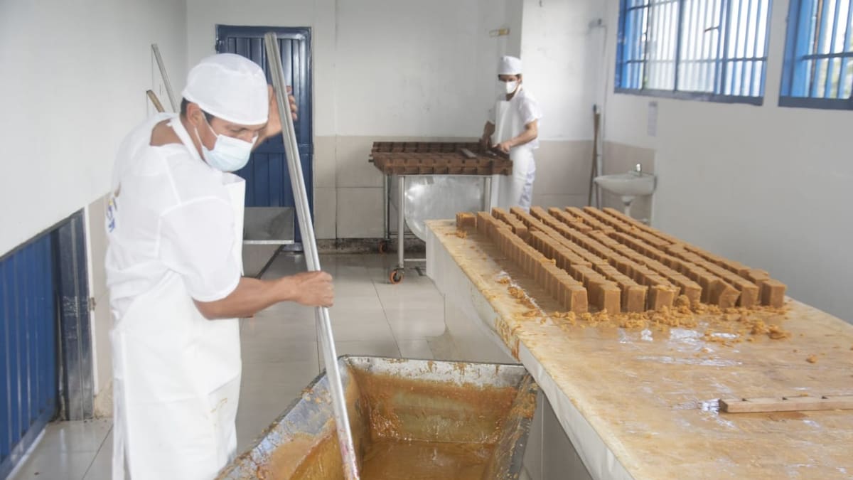 Paneleros del Huila innovan con hornillas amigables con el medioambiente