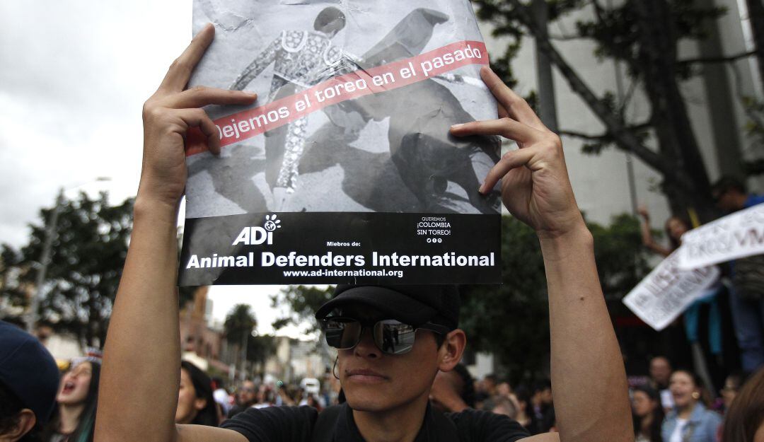 Actualmente en el Congreso cursa un proyecto de ley para prohibir estas prácticas en Colombia; está a la espera de ser discutido en segundo debate en la Cámara de Representantes