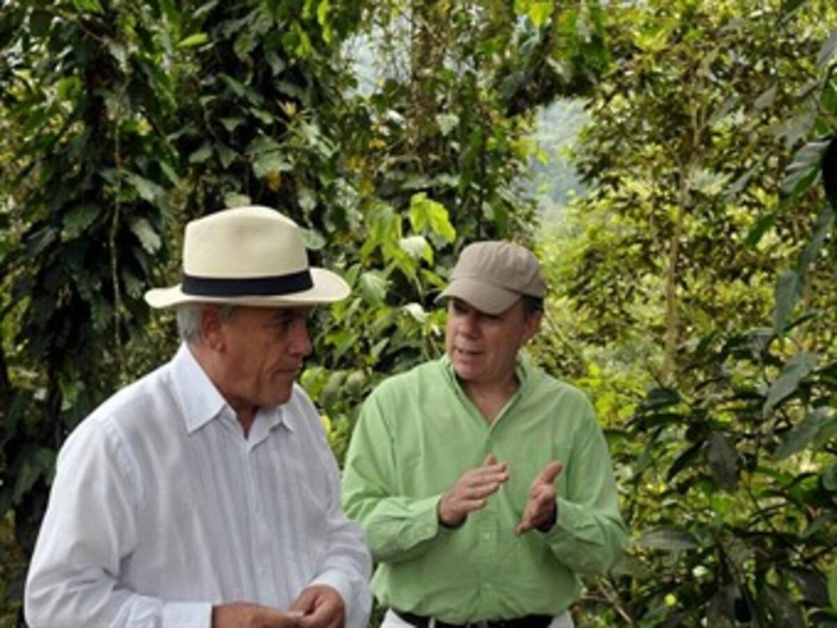 Hay que lograr un combate equilibrado del consumo y la producción de droga: Sebastián Piñera