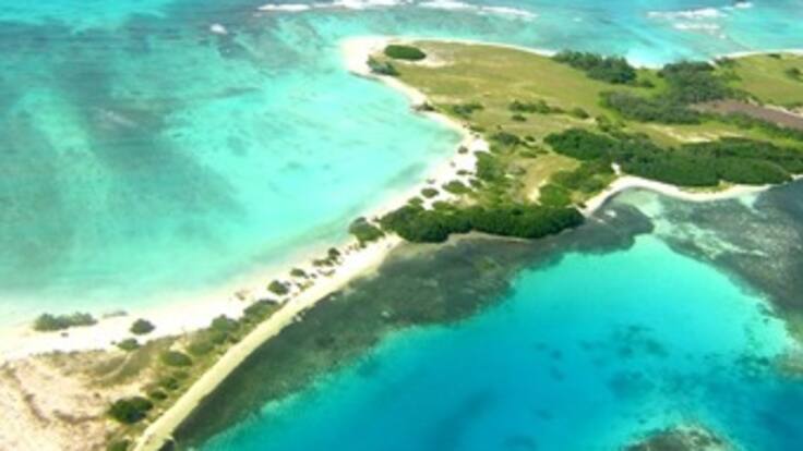 Conozca algunas acciones para preservar las playas