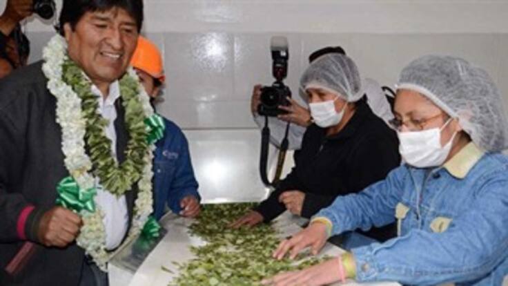 Bolivia abre la primera fábrica de coca para uso medicinal