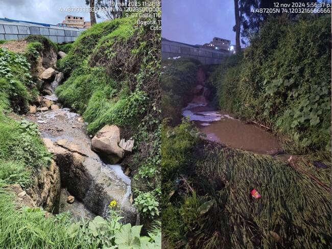 Cortesía: Secretaría de Ambiente