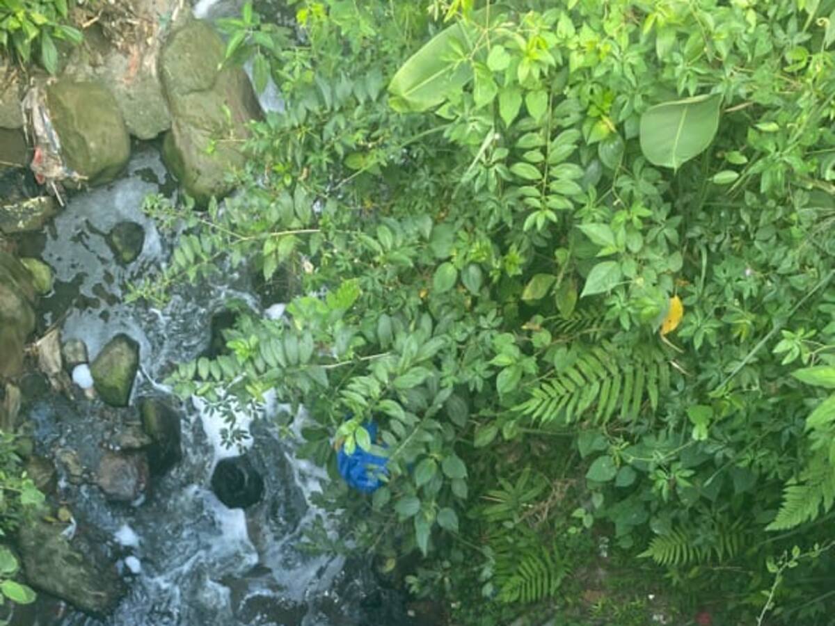 Hombre en estado de embriaguez cayó a una cañada en un barrio al sur de Armenia