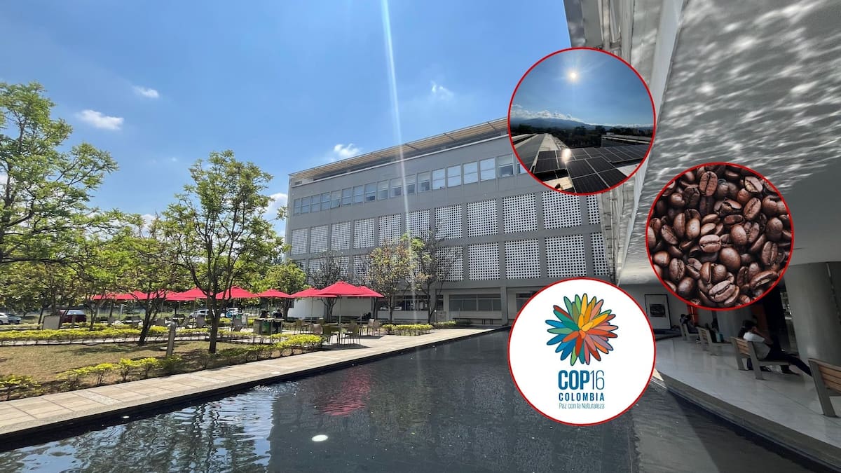 Descubra cómo la U. Libre se está preparando para la COP16 con proyectos transformadores
