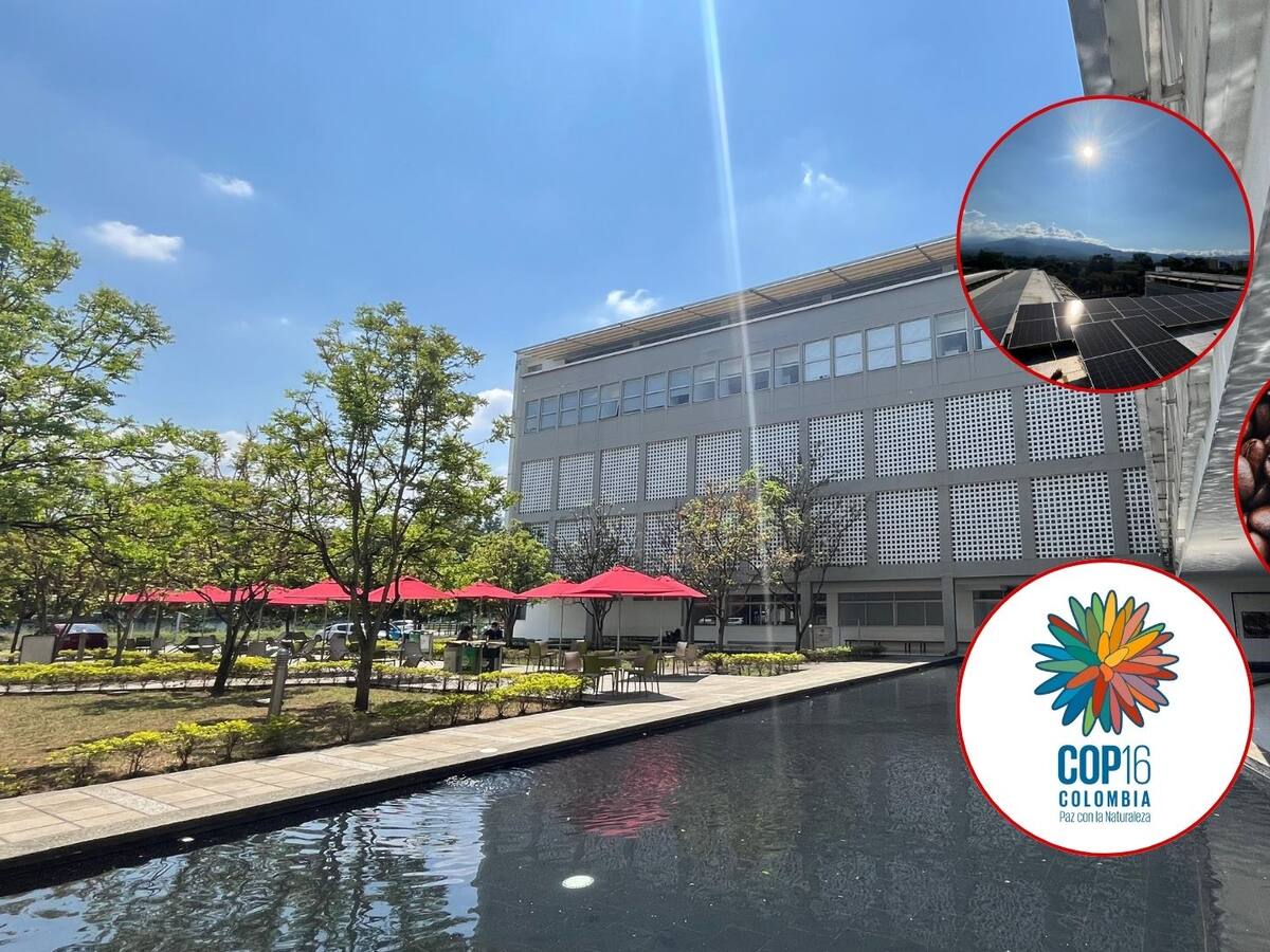 Descubra cómo la U. Libre se está preparando para la COP16 con proyectos transformadores
