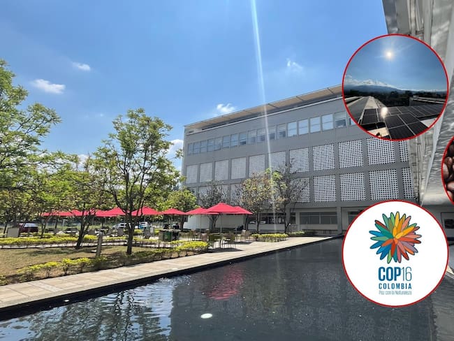 Descubra cómo la U. Libre se está preparando para la COP16 con proyectos transformadores