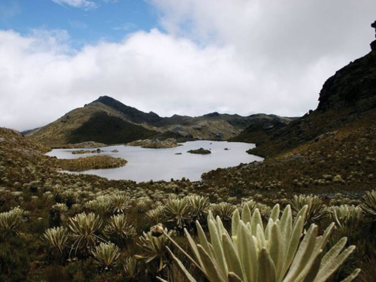 Se firmó convenio para la protección del páramo de rabanal