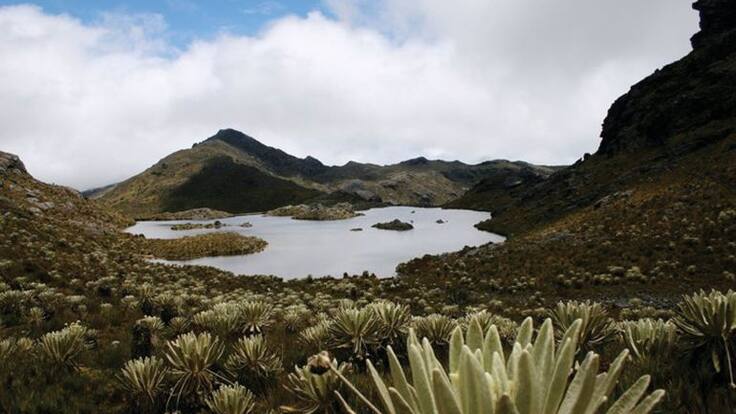 La estrategia de Soacha para proteger el páramo de Sumapaz