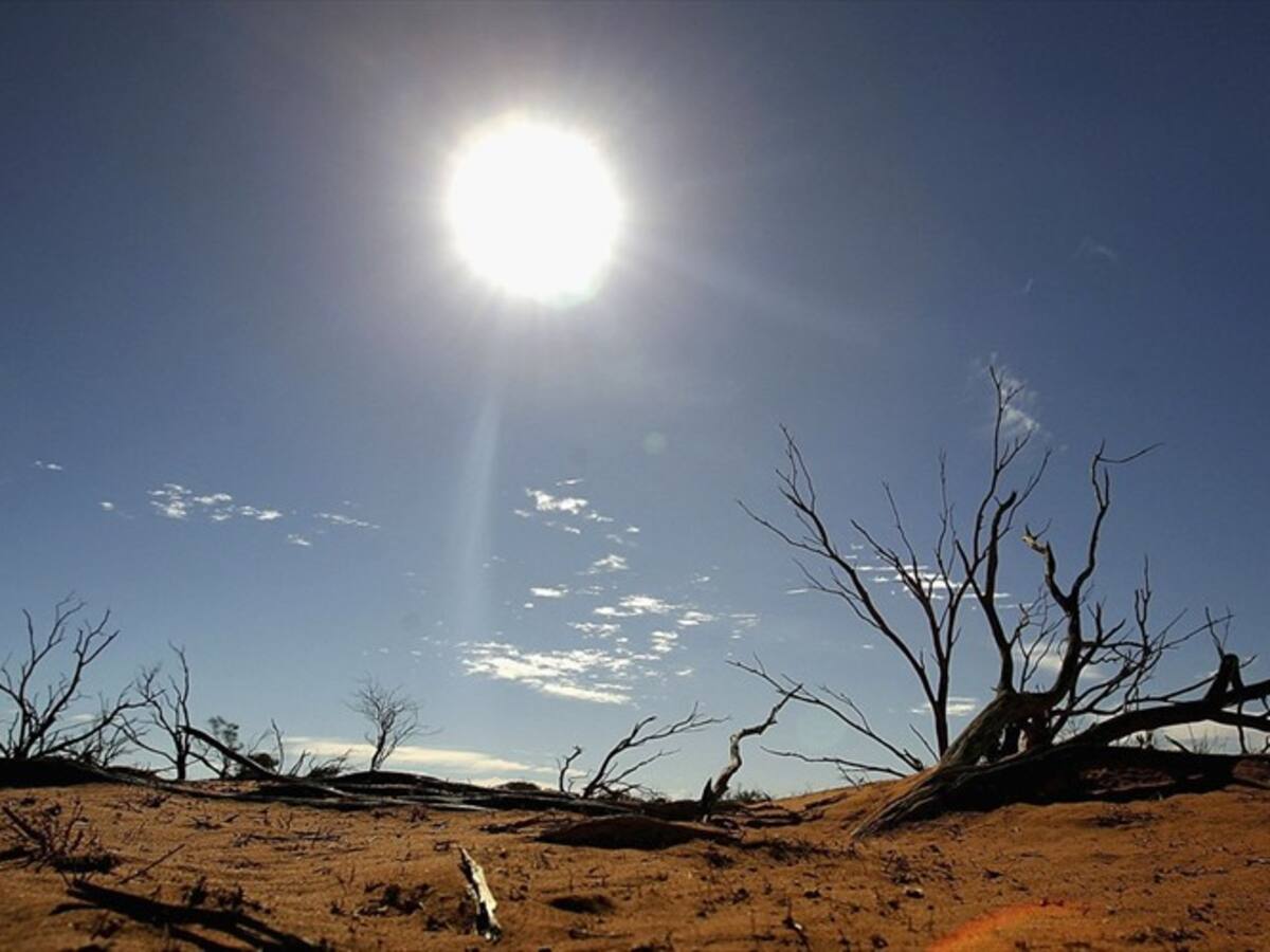 Cambio climático: ¿Por qué los últimos 8 años fueron los más calurosos de la historia?