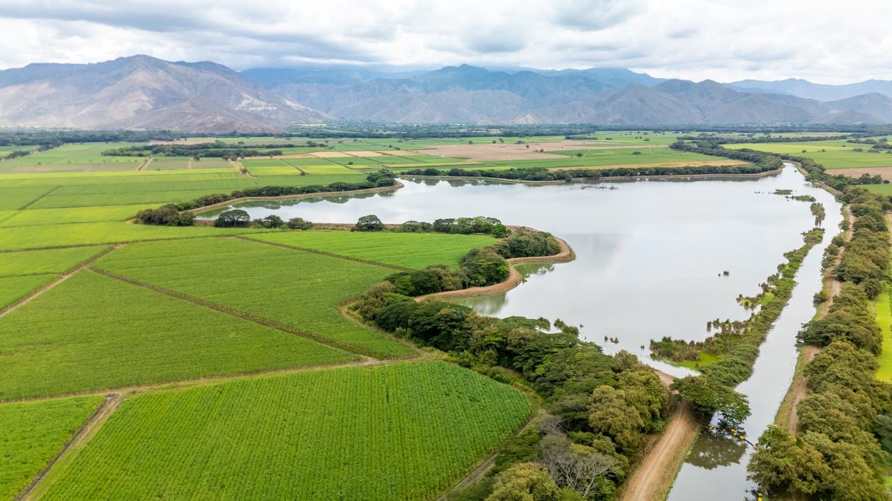 Áreas protegidas en el Valle del Cauca / Foto: CVC