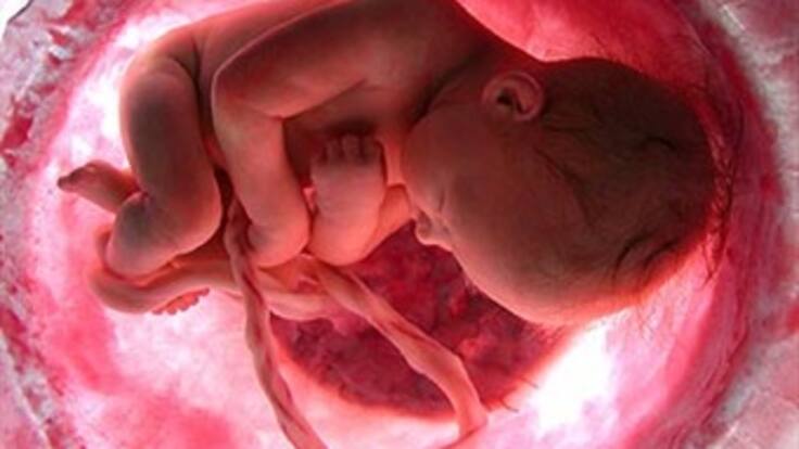 El Gobierno no podía reglamentar una ley que no existe: Magistrada