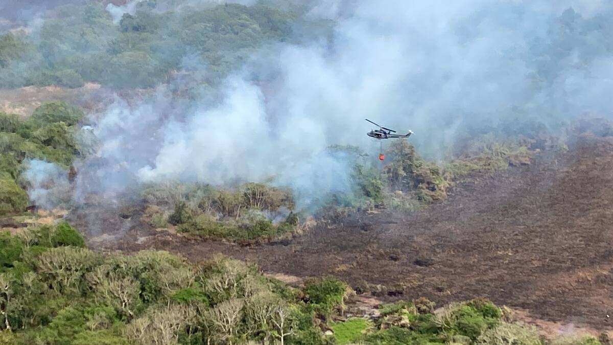 Incendio forestal en Isla Salamanca ha sido controlado en un 85%