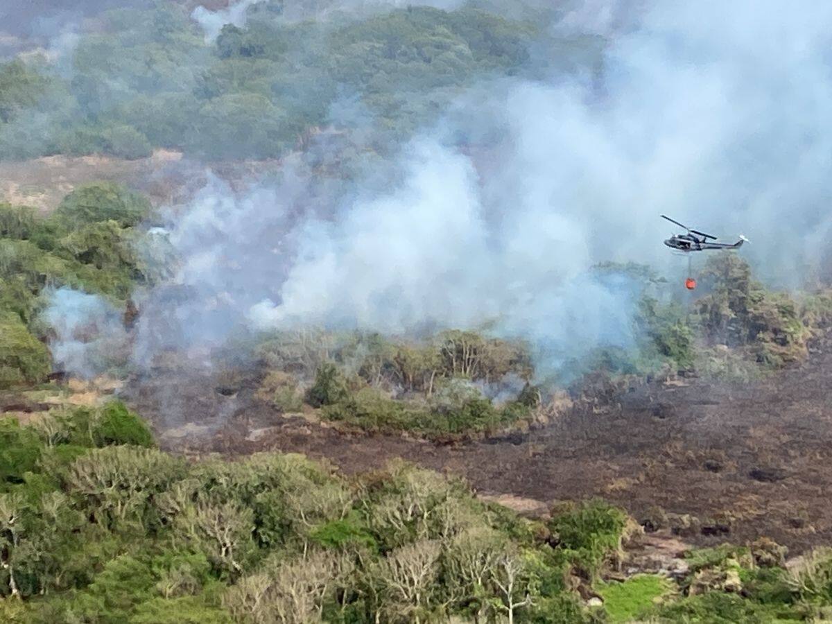 Incendio forestal en Isla Salamanca ha sido controlado en un 85%