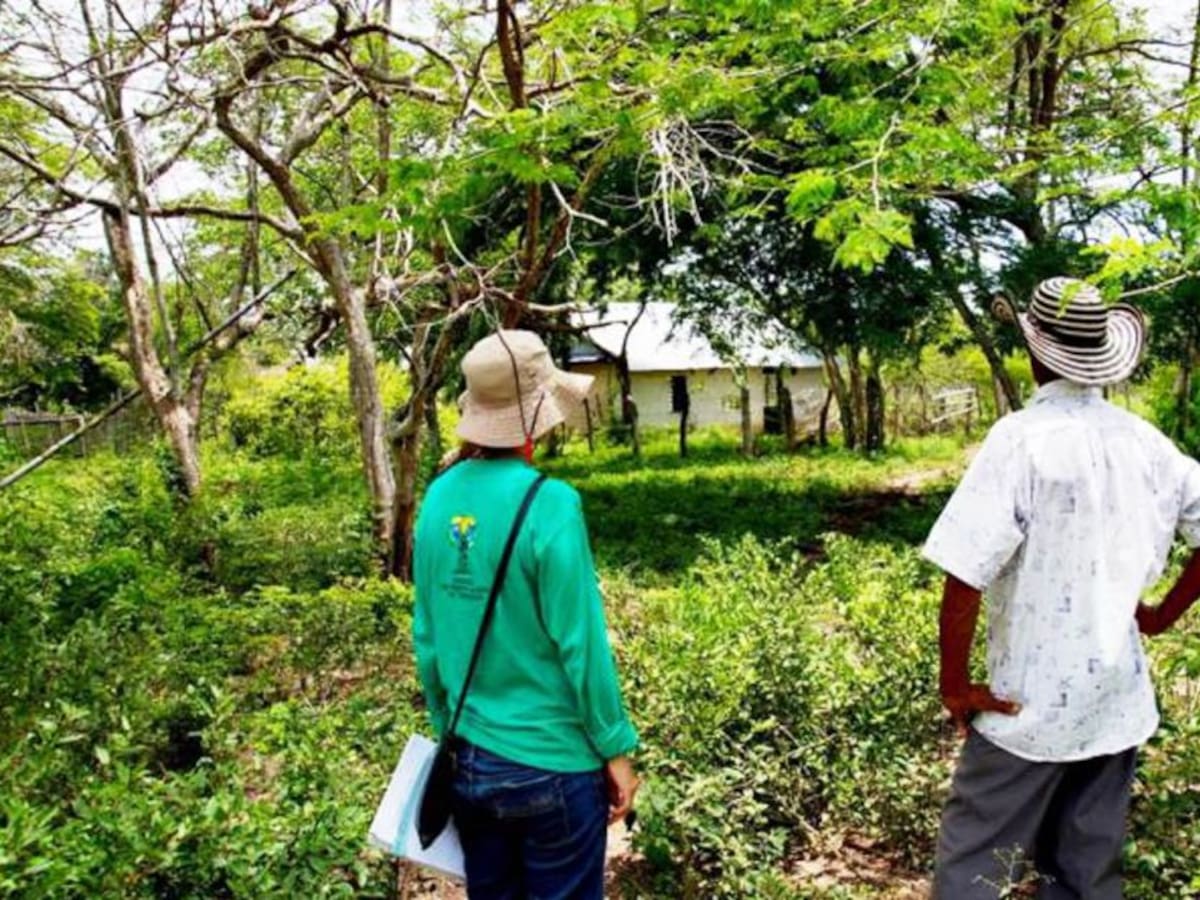 Con demandas buscan restituir tierras en Bolívar