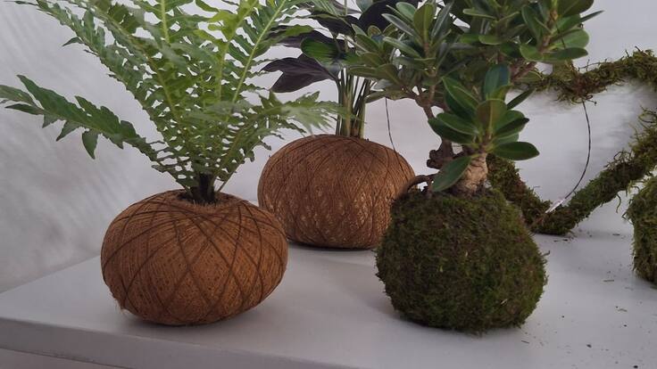 Presidente de la Cámara