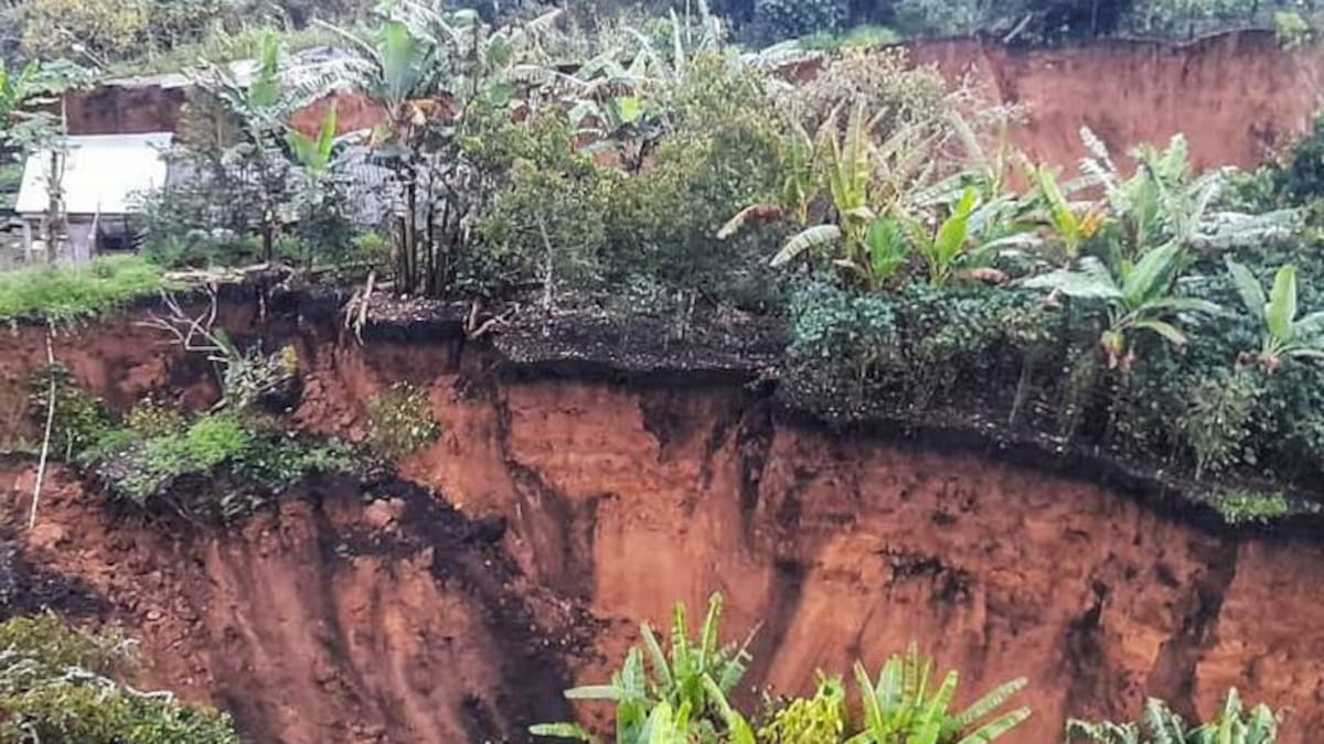 ¿Cómo ha sido el impacto del derrumbe en Rosas para el agro en el Cauca?