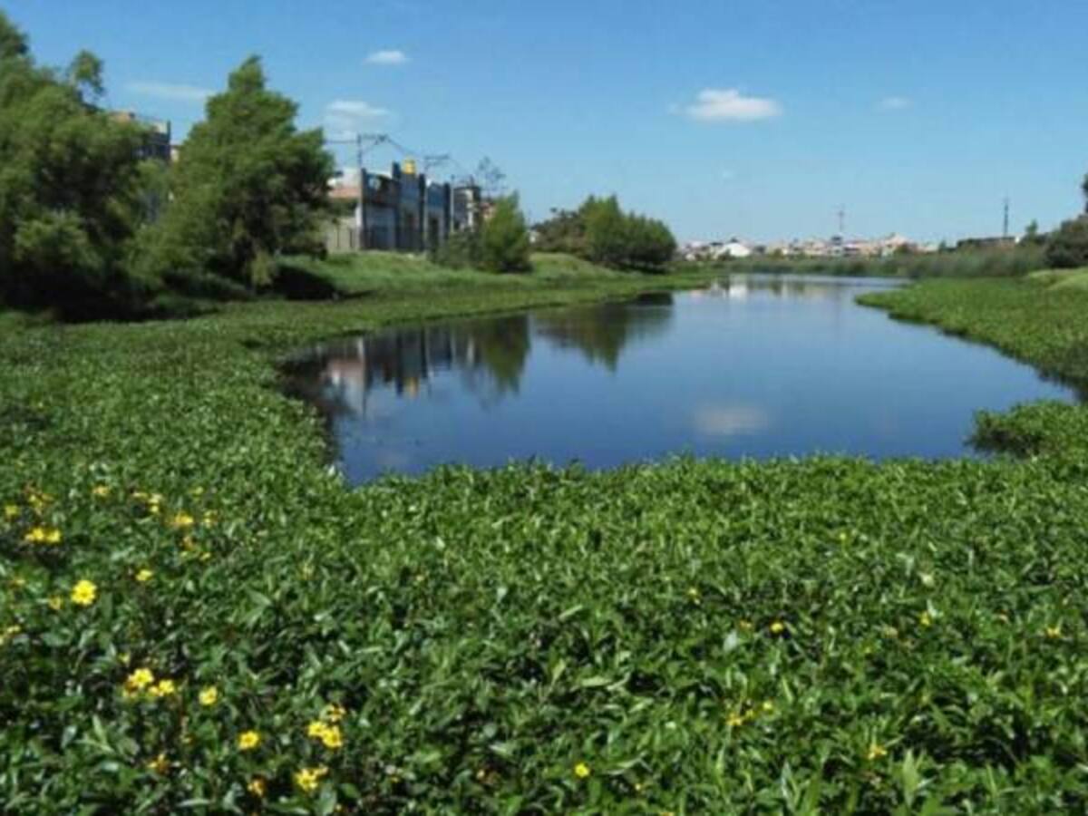 Audio martes 02 de febrero de 2016