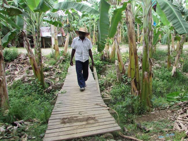 Aquivaldo Palacios - Murió esperando restitución de tierras. Foto: Forjando Futuros.