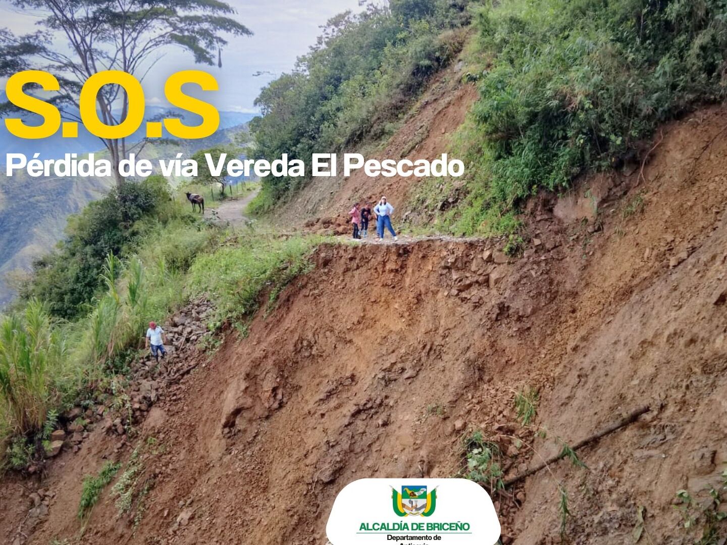 Vía vereda El Pescado, municipio de Briceño- foto alcaldía