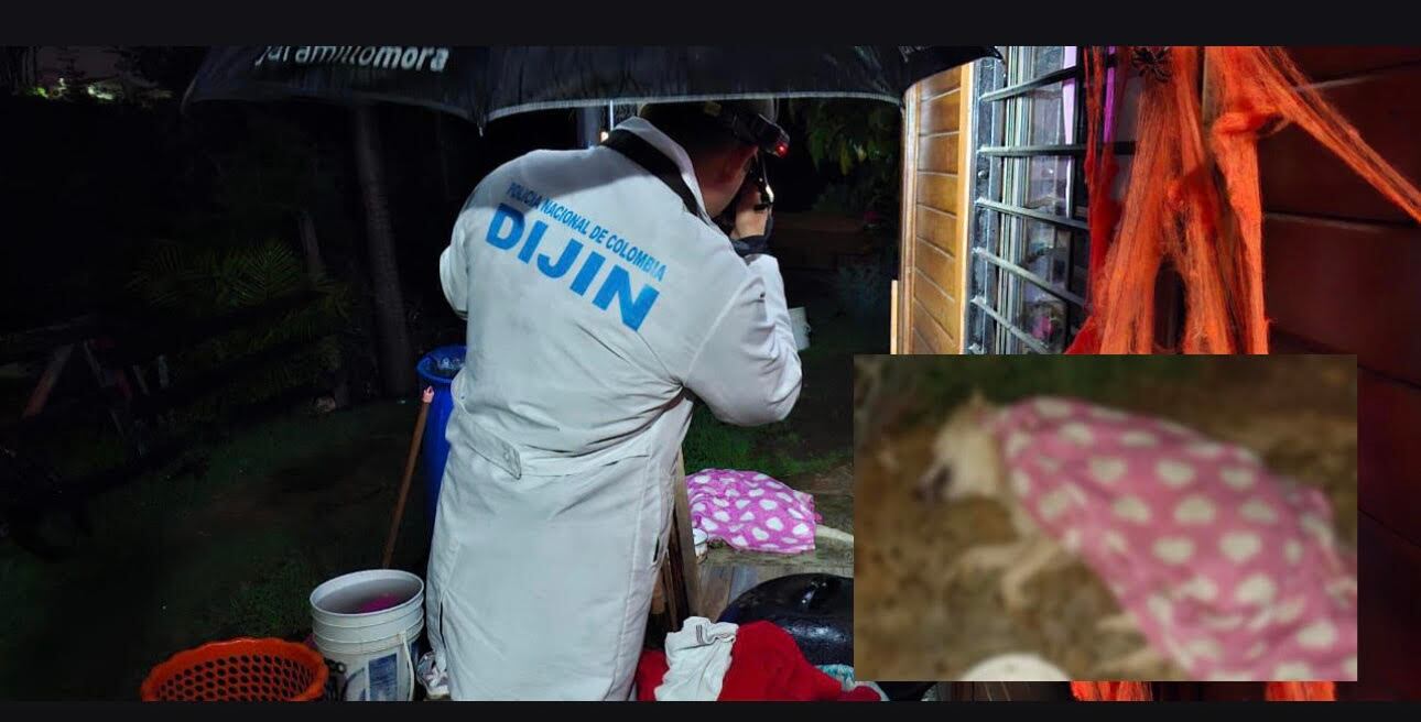 Un equipo técnico de la Dijin se desplazó hasta el sitio de los hechos y le practicó una necropsia al perro asesinado. Foto: Alcaldía de Rionegro.
