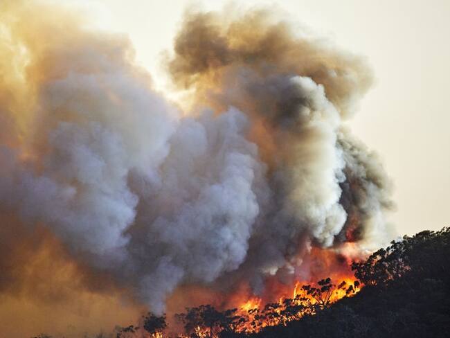 No se descarta que humo de los incendios de Australia lleguen a Colombia