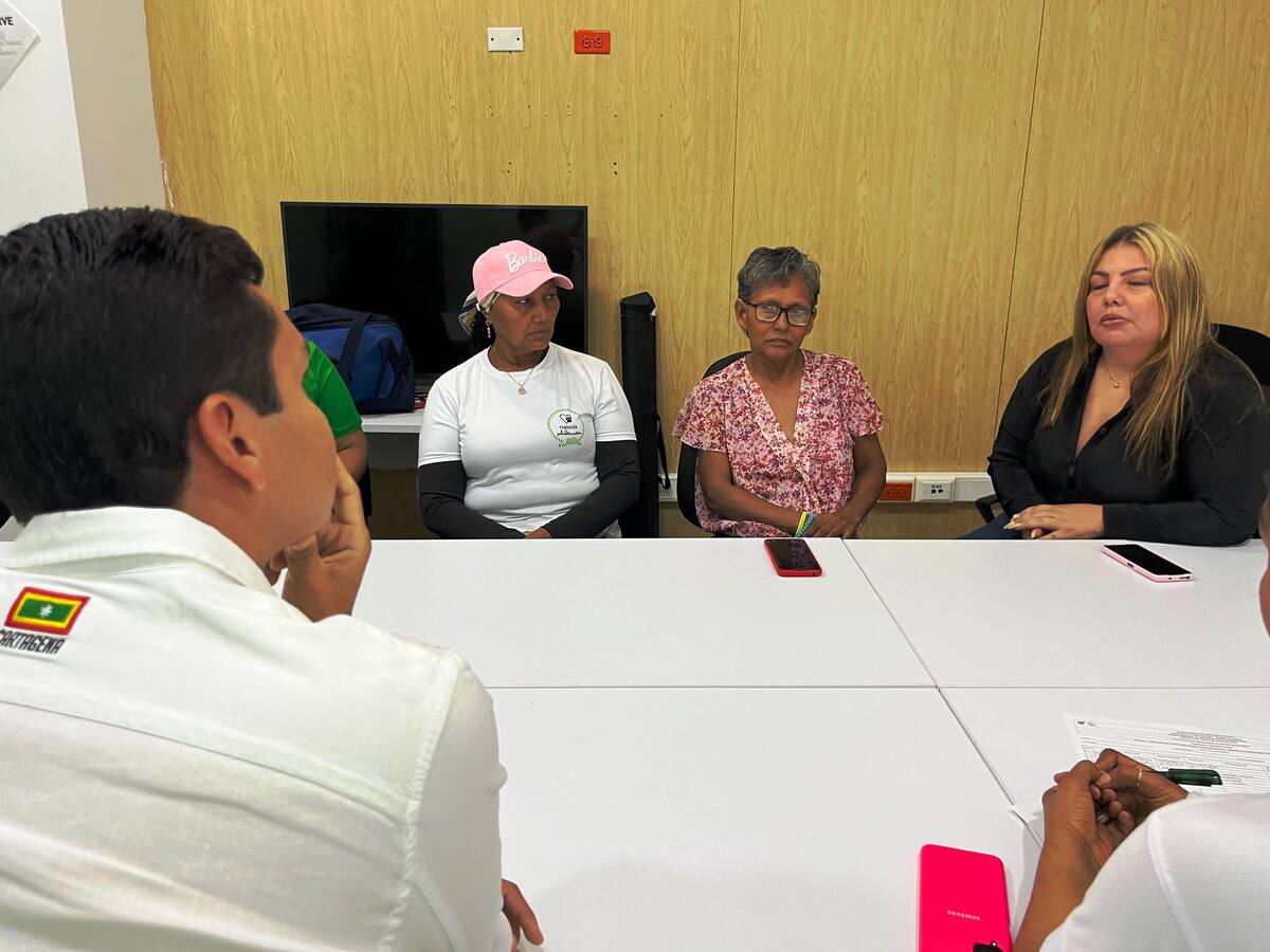 La señora Esperanza Soto acompañará traslado de los gatos del puente Napoleón Perea