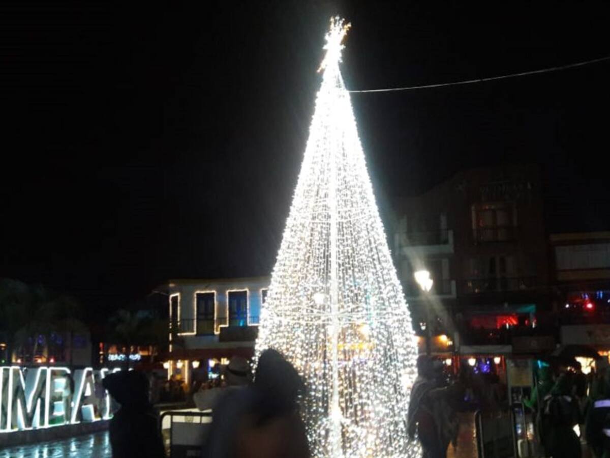 Las noticias más importantes de Armenia y Quindío, martes 11 de diciembre