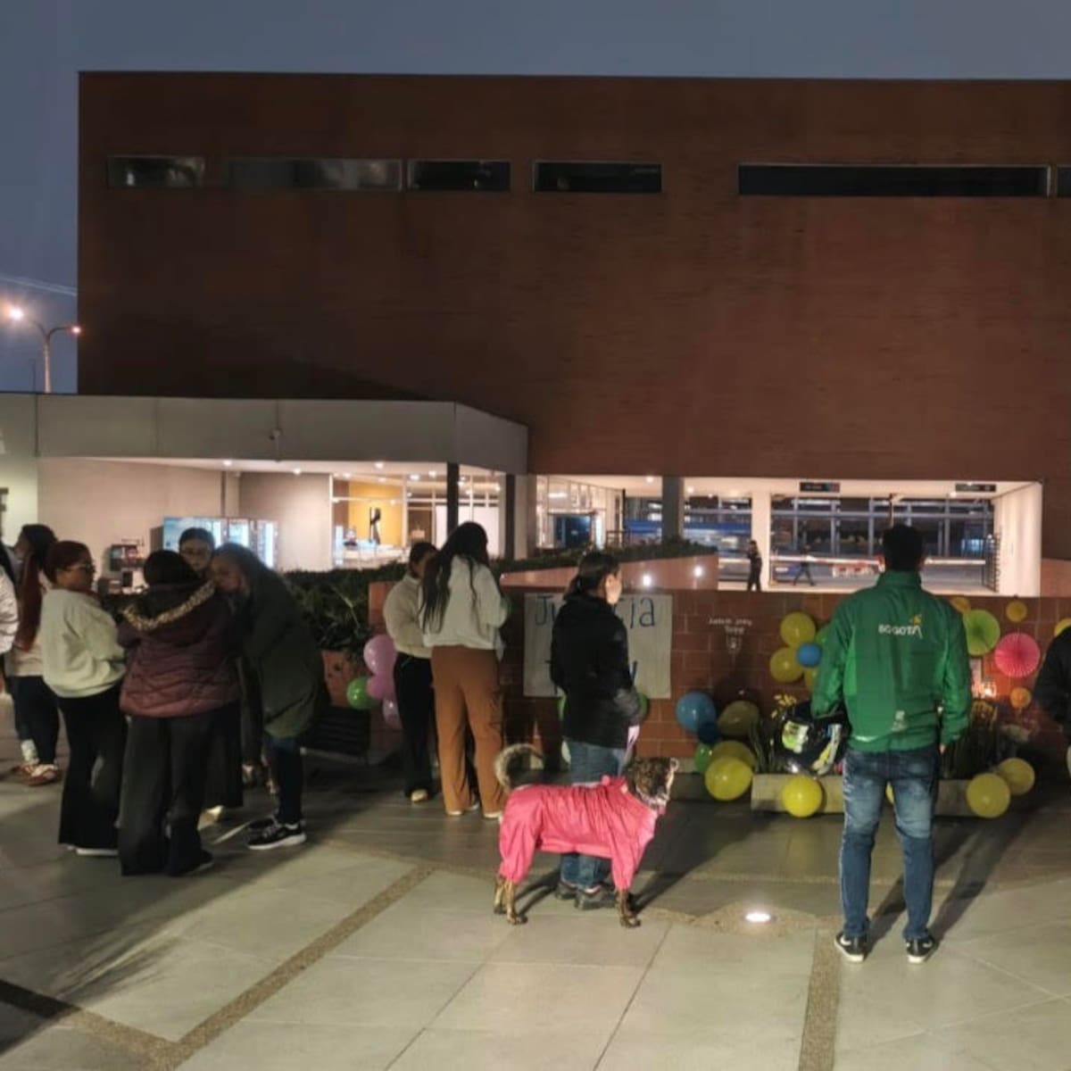 Hombre lanzó a un perro desde un piso 25 en la localidad de Kennedy