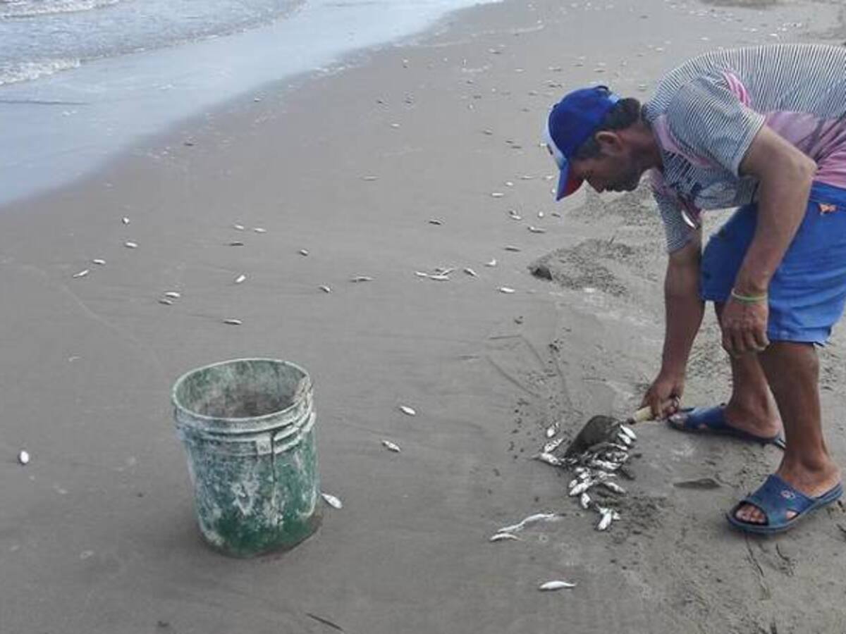Santos niega mortandad de peces en río Magdalena por reapertura de El Quimbo