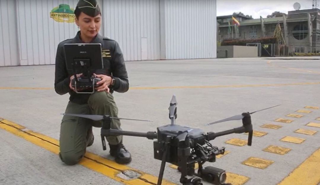 Imagen de referencia.