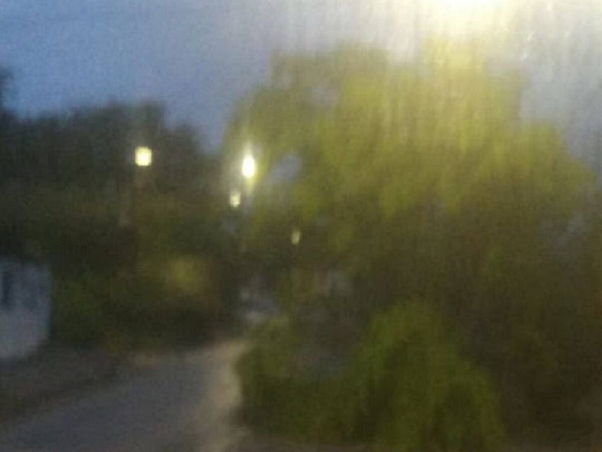 Lluvias dejan la caída de un árbol al norte de Bucaramanga