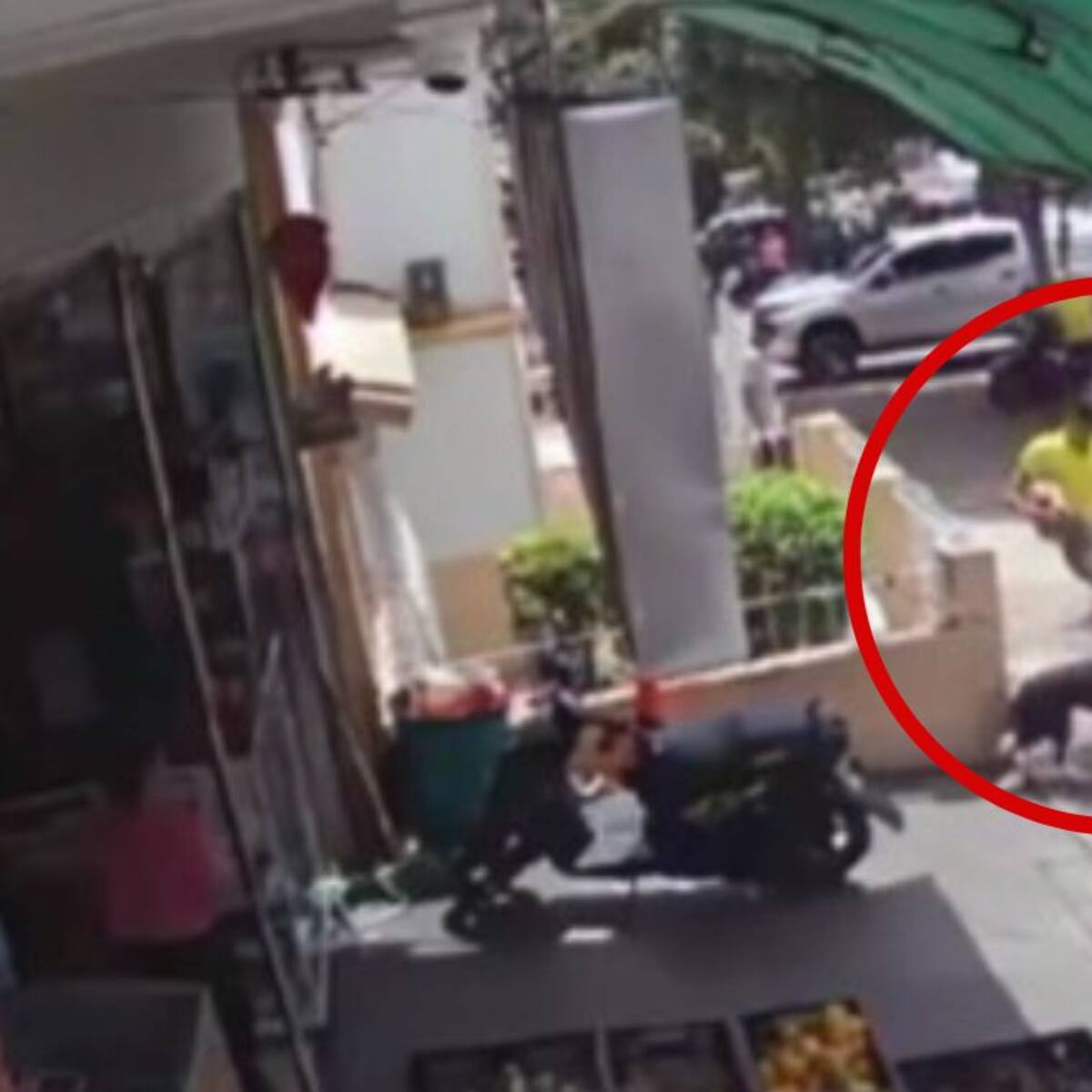 VIDEO: fuerte rechazo por maltrato a un perro en Bucaramanga, el agresor se disculpó