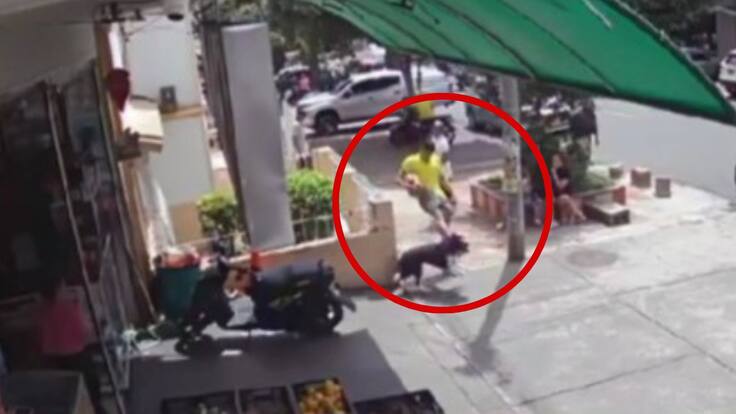 Nicolás Álvarez, Inspector de Bucaramanga.