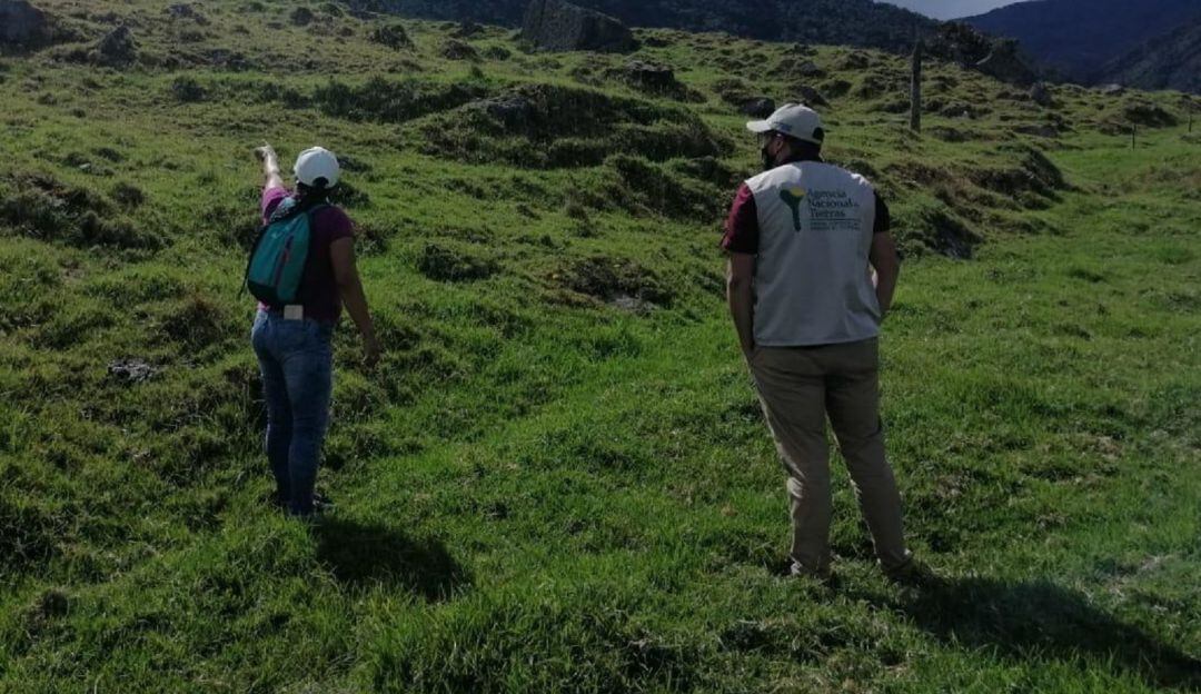 Imagen de referencia.