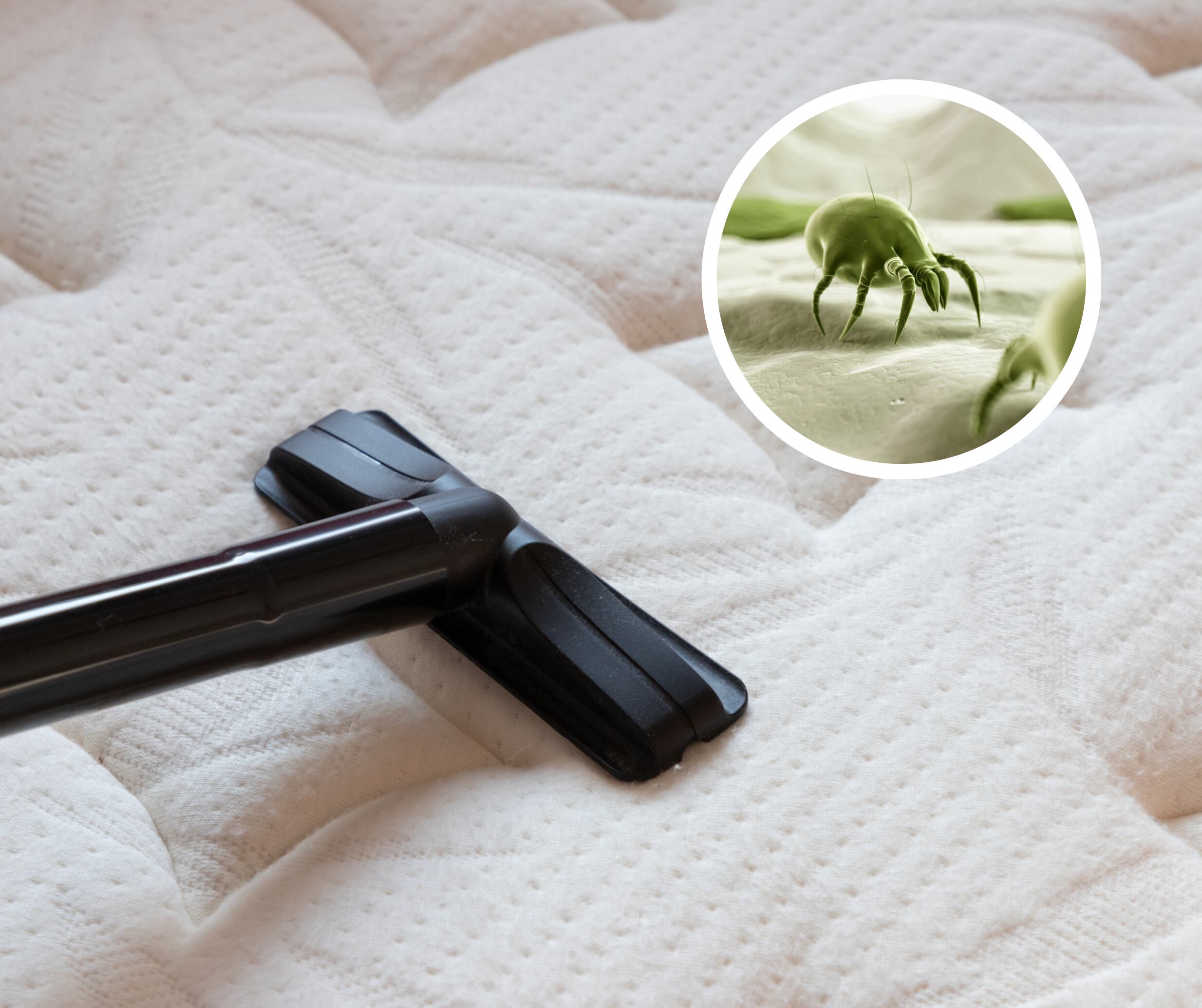 Limpieza de un colchón con aspiradora y ácaros (Getty Images)