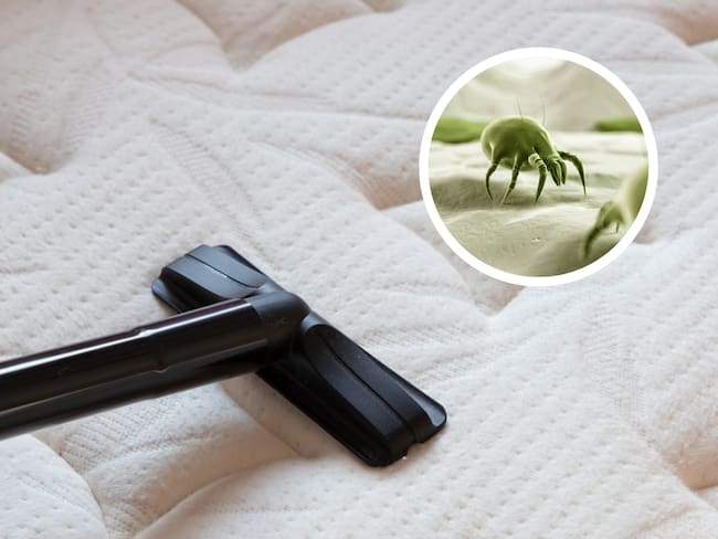 Limpieza de un colchón con aspiradora y ácaros (Getty Images)